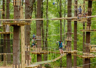 TreeTop Adventures